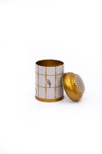Round Box: Bird Cage