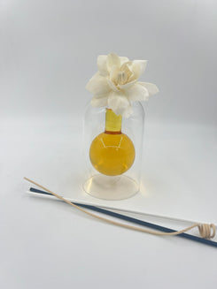 Aura Bloom