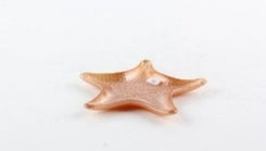 Star Plate